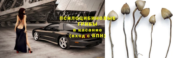 крисы Алексин