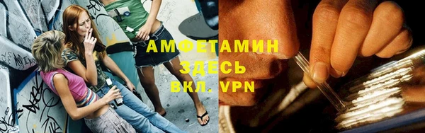 крисы Алексин